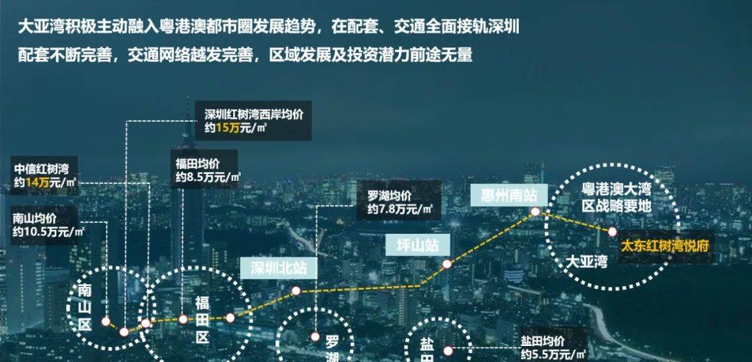  格勒诺布尔球探体系卓越，发掘南美潜力新星
